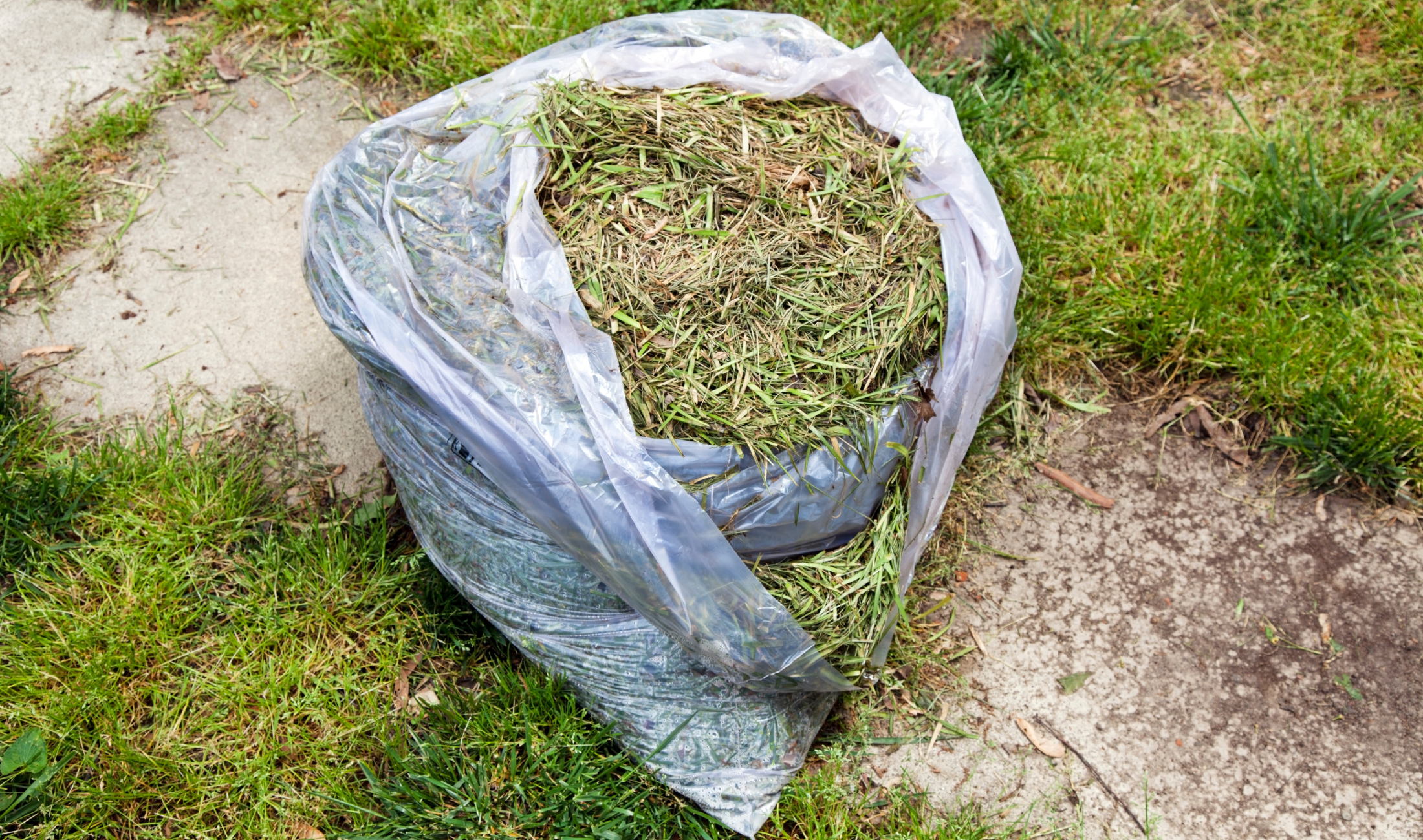 A garbage bag full of grass clippings.