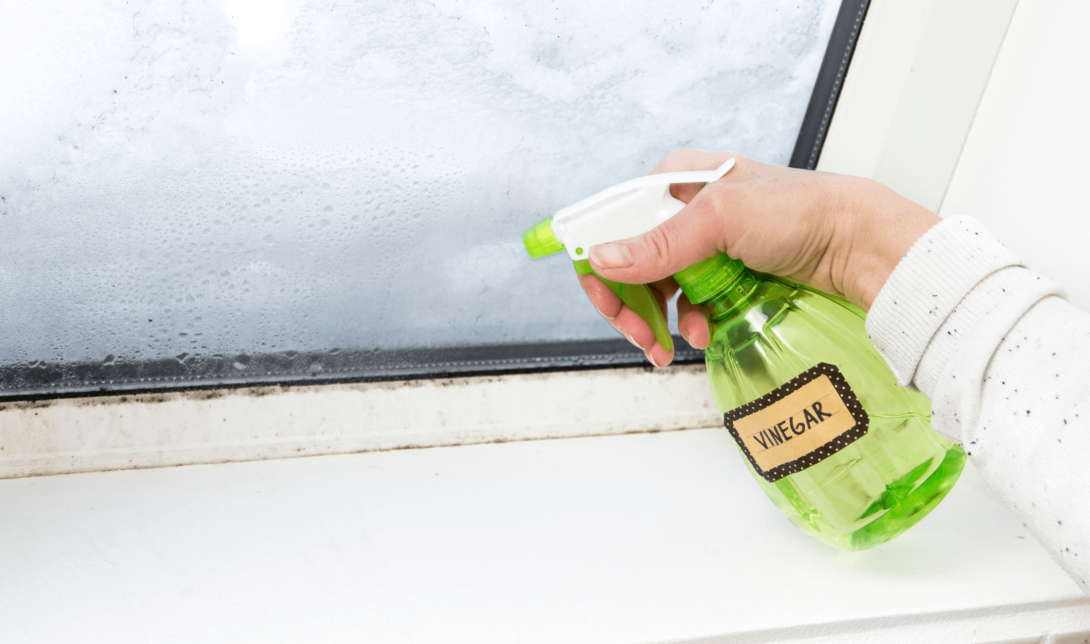 A spray bottle full of vinegar cleaning black mold along caulking.