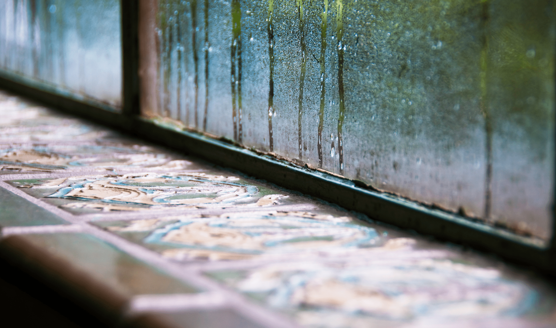 A close view of a window and windowsill as it's raining outside.