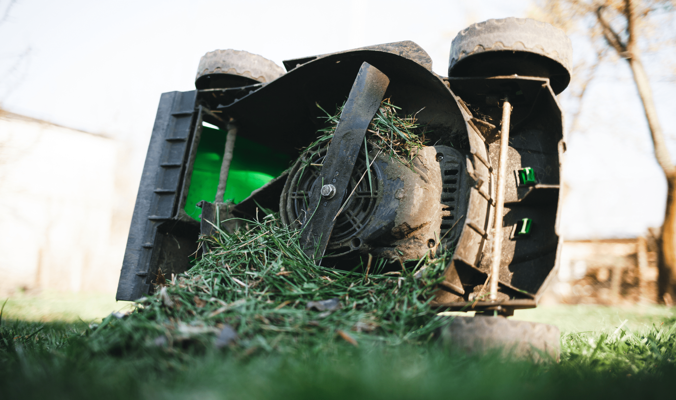 The underside of a lawn mower, turned on its side, the blades full of grass.