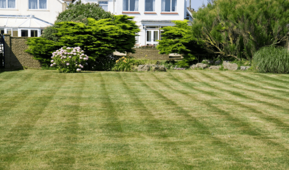 A large house lawn with visible mowing pattern stripes in it.