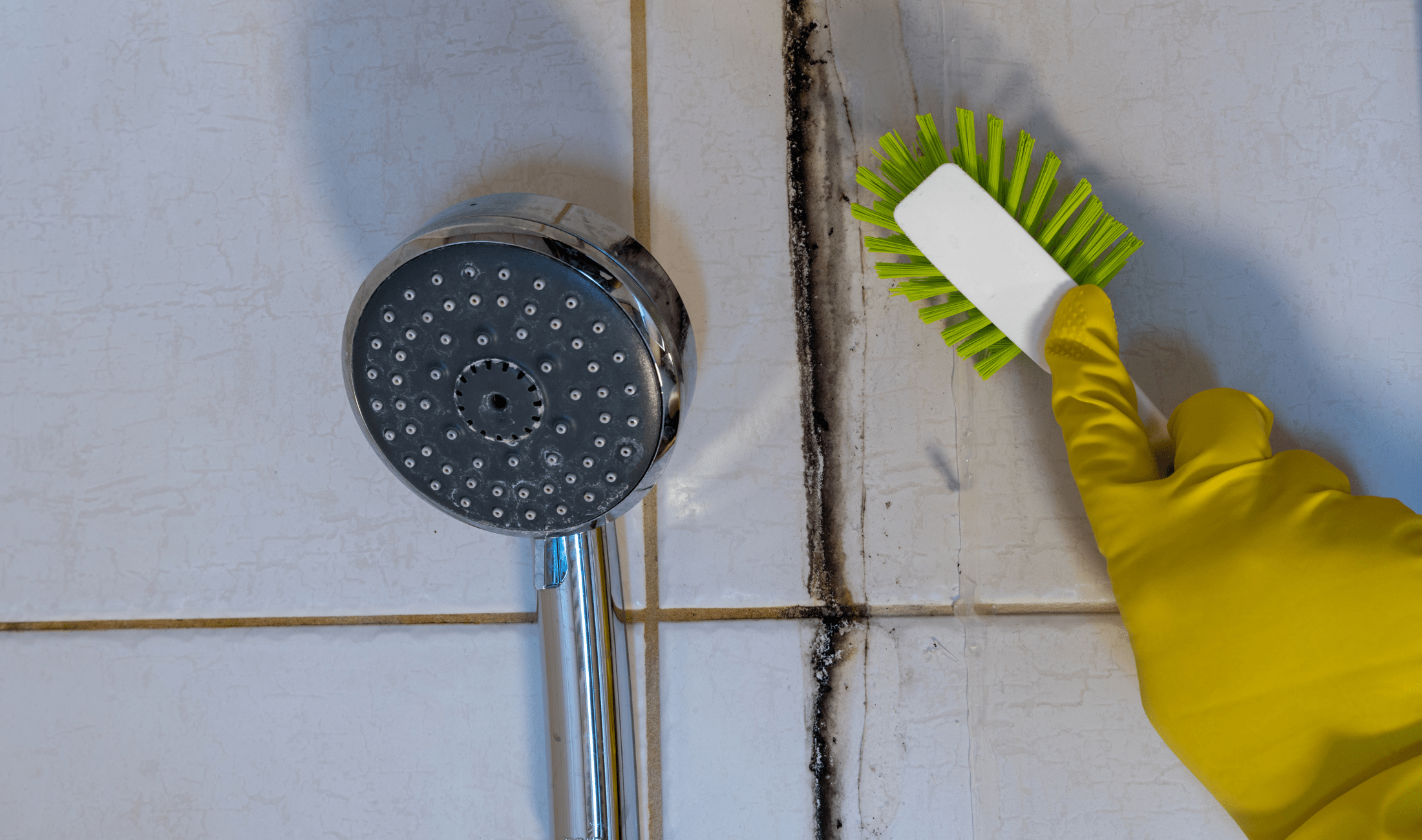 A hand with a cleaning brush going for a strip of black mold next to the shower head.