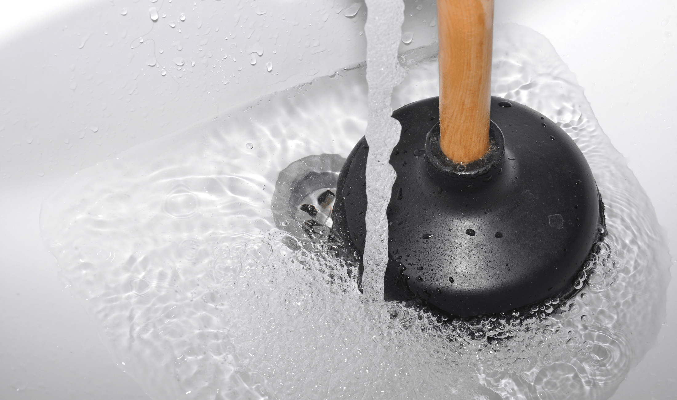 A close photo of a plunger against a sink drain.