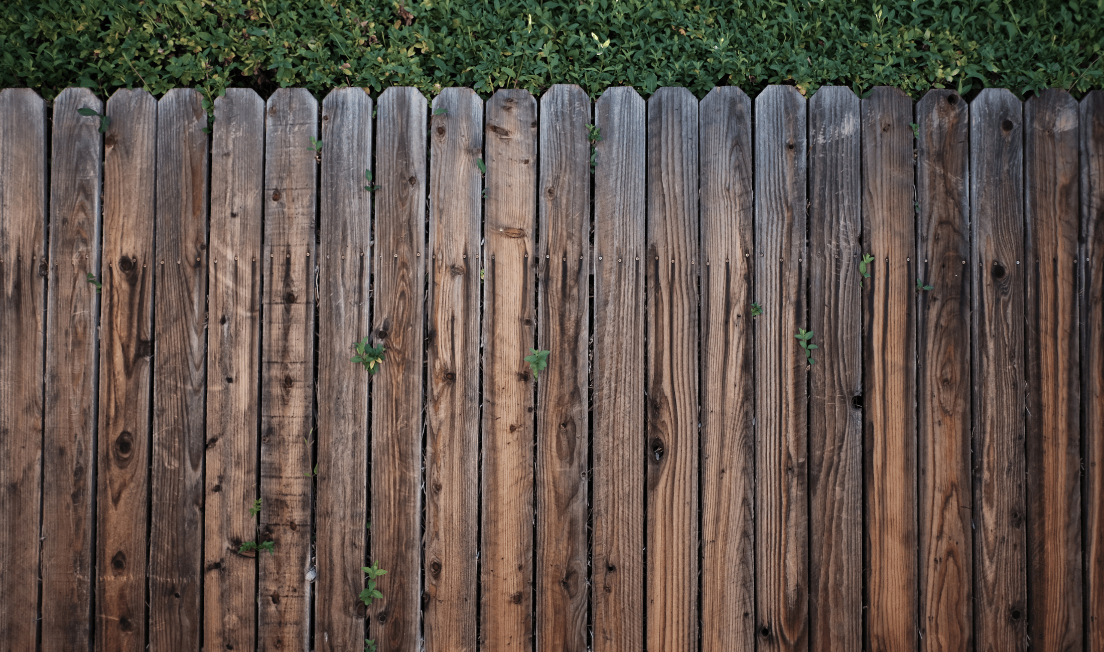 An old, dirty wooden fence.