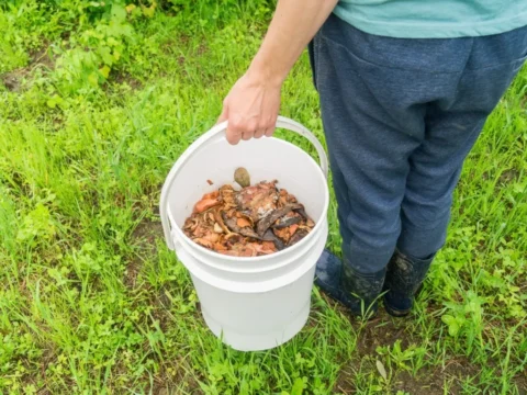 A person carrying a 5gal bucket of compost.