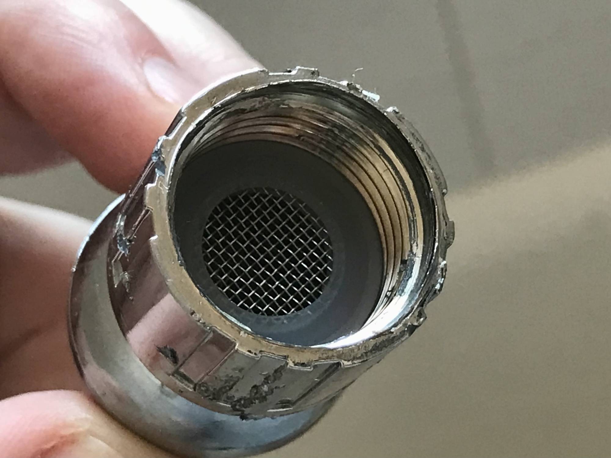 Someone holding a shower filter screen.