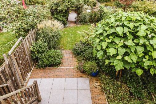 An overview of a small backyard with a tiled area and large, lush plants.