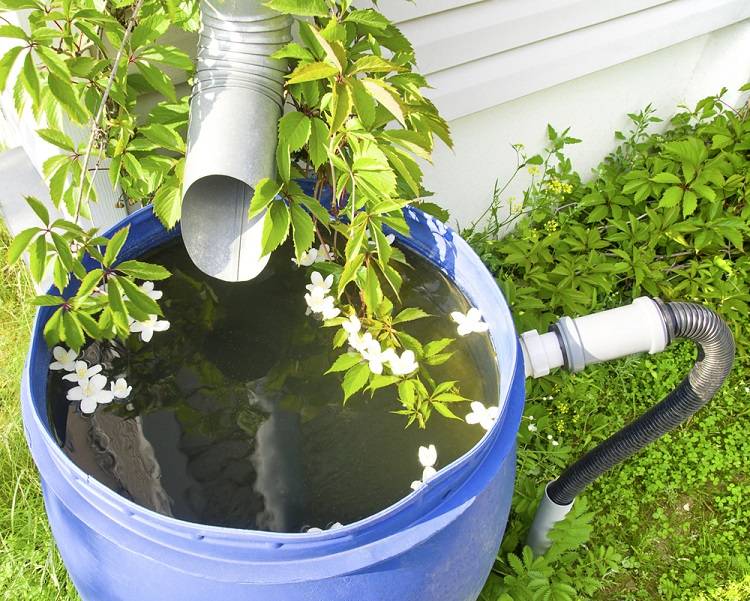 drain for rain water in a plastic barrel in a country house