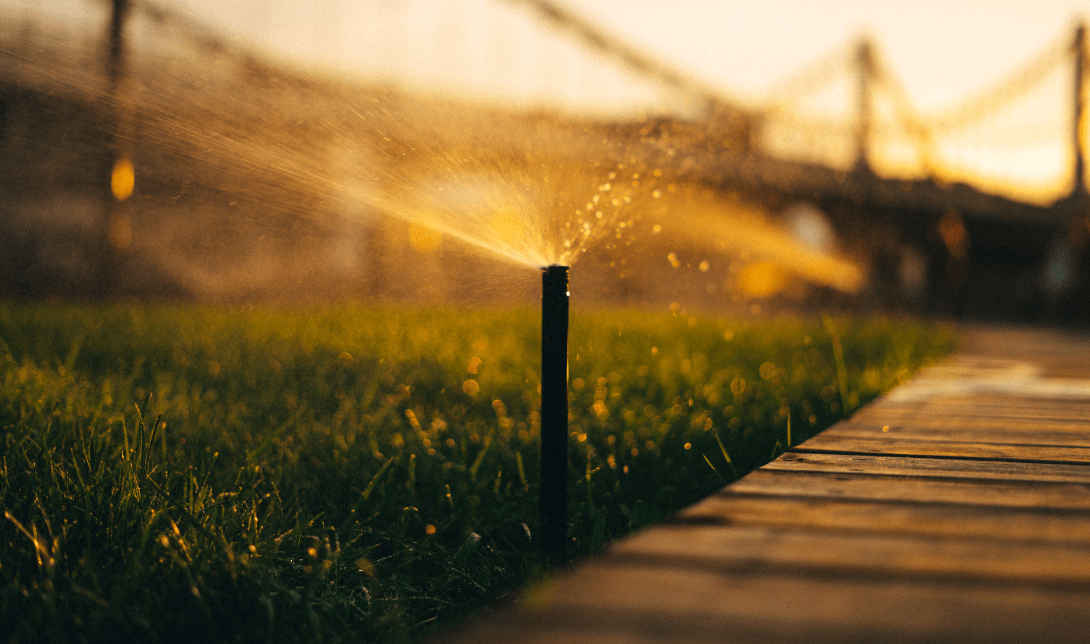 A closeup of a sprinkler turning on a dawn.