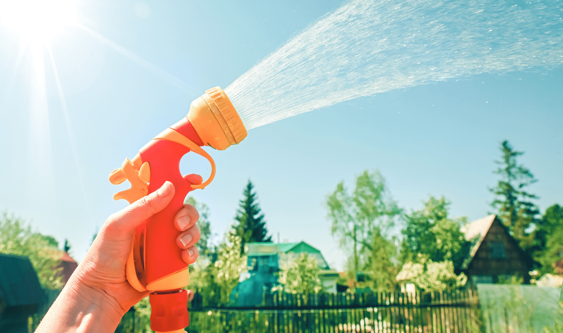 Someone out of frame holding a hose with an orange attachment for watering plants, firing it into the air.