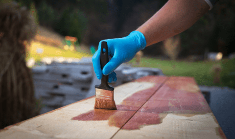 A gloved hand painting two plants of wood with stain.