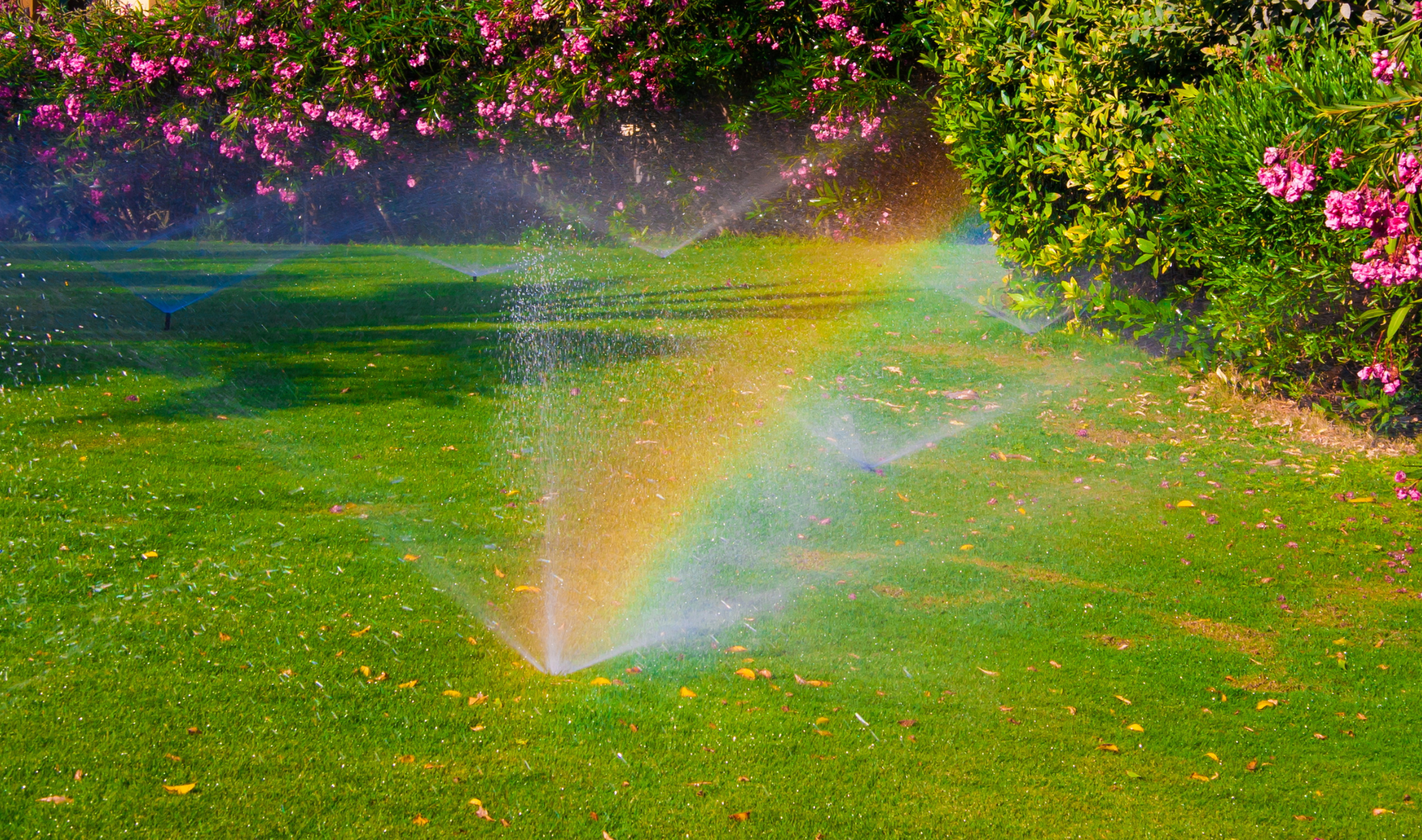 Sprinklers watering a lawn in the daytime, the sunlight casting rainbows through the water.