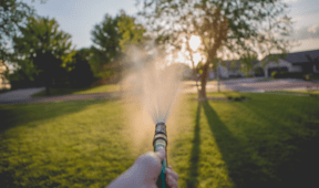 Professional Say This Is The Best Time Of Day To Water Your Lawn