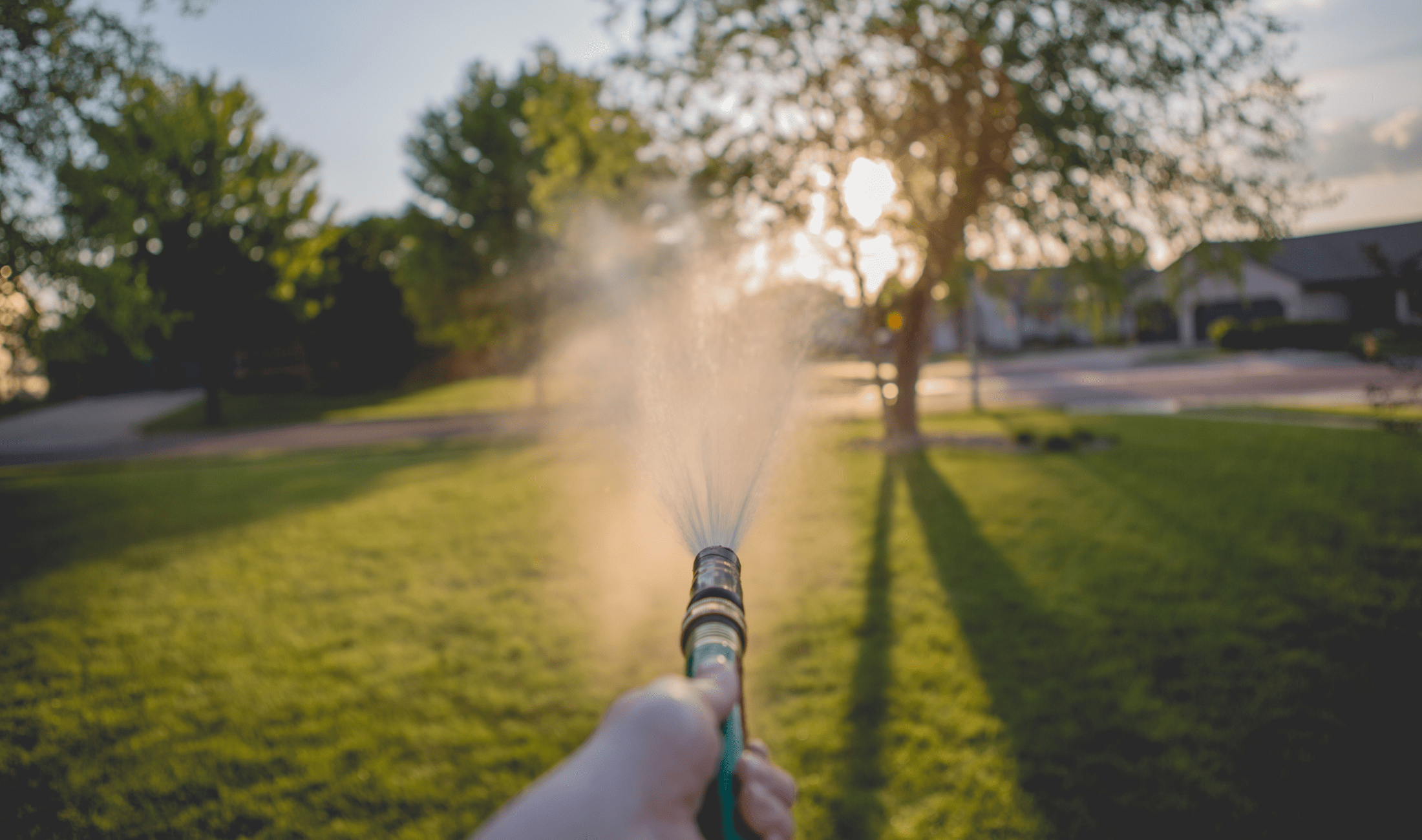 A POV shot of a person holding a hose directly in front of them onto their lawn in the early morning.