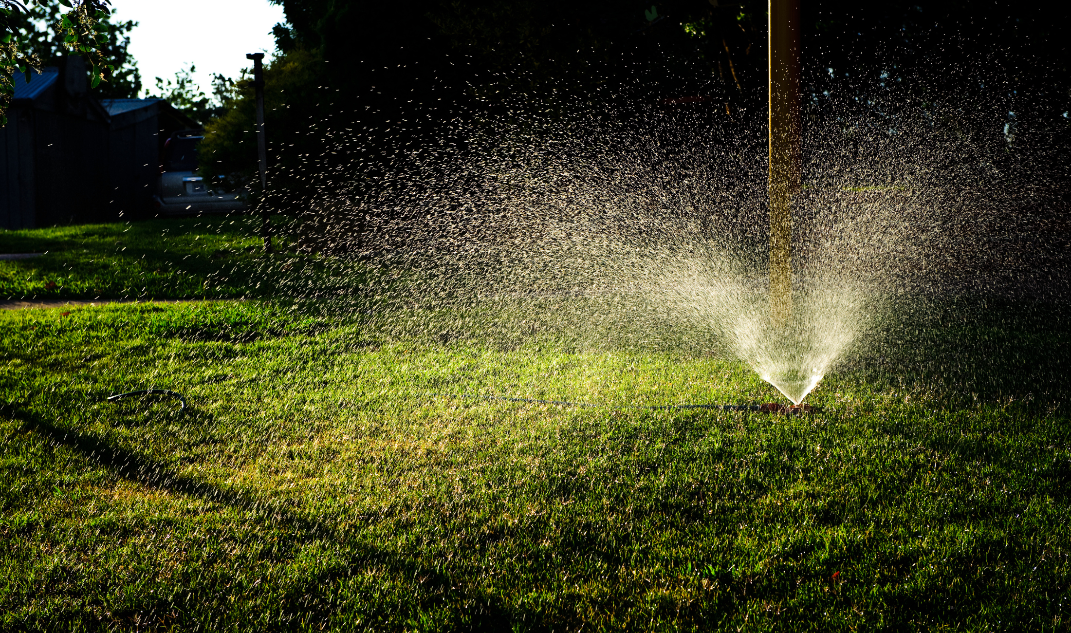 A sprinkler watering a lawn in the early morning as the sun rises.