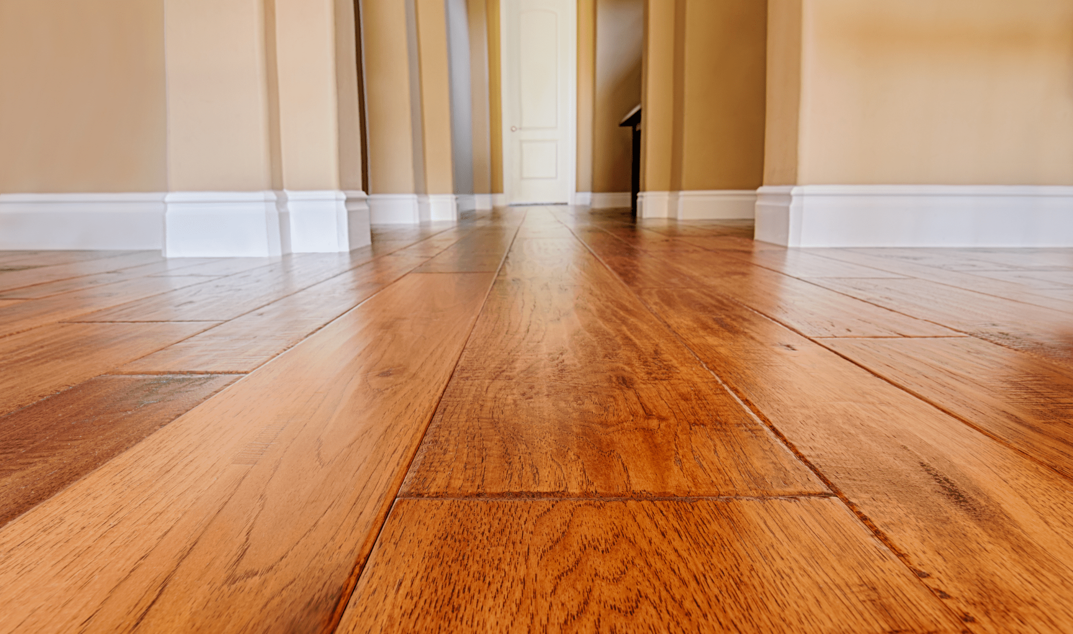 A close, low photo of a hardwood floor.
