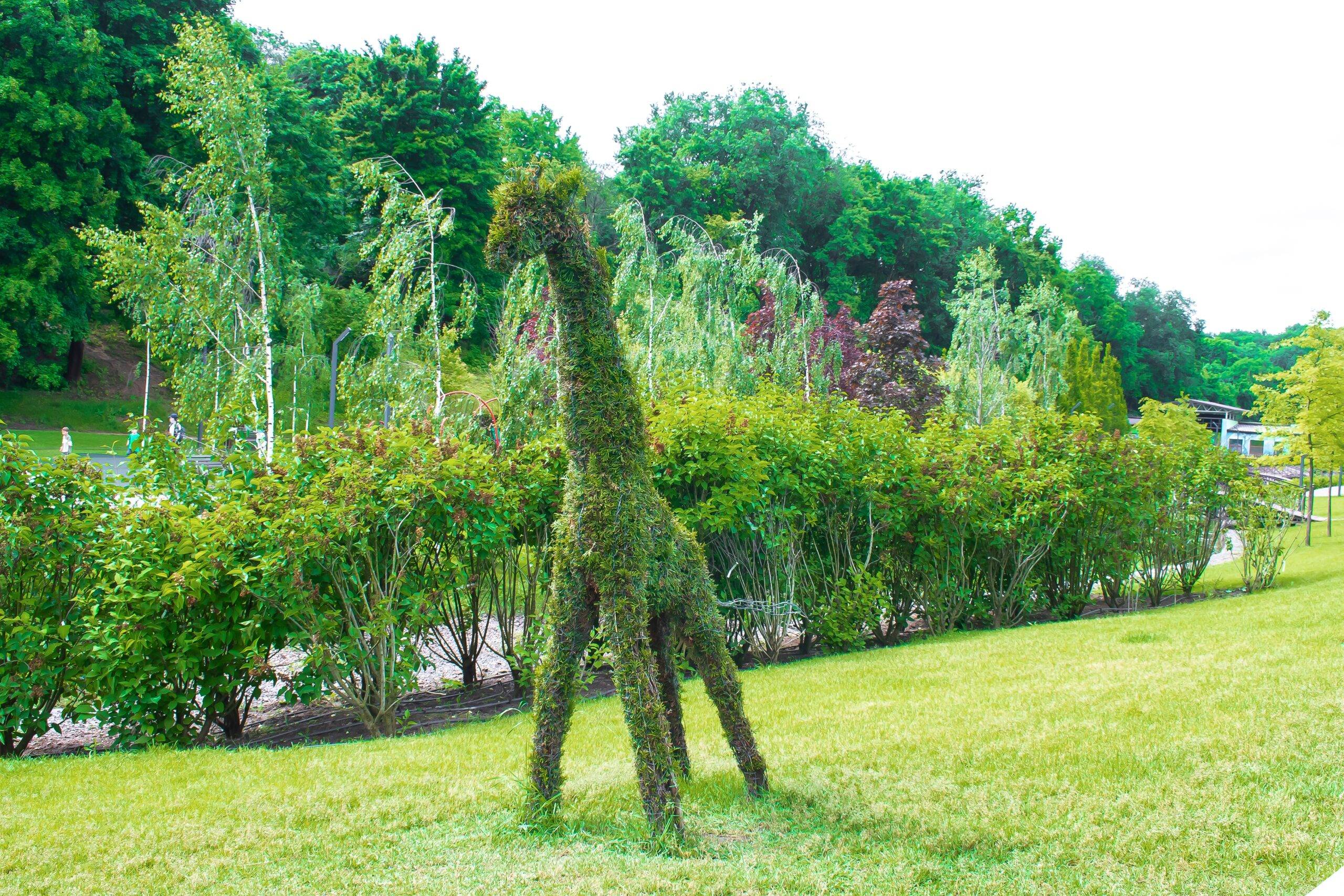 Beautiful green botanical landscape design in garden, city park with trees, different animal shapes bushes, fresh grass lawn. Scenic summer gardening nature background, concept.