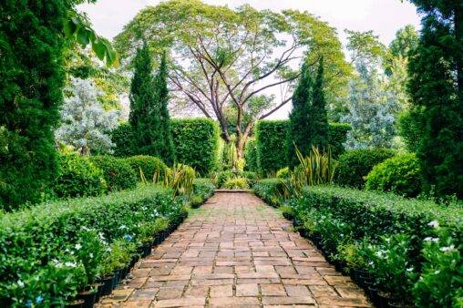 A symmetrical garden path.