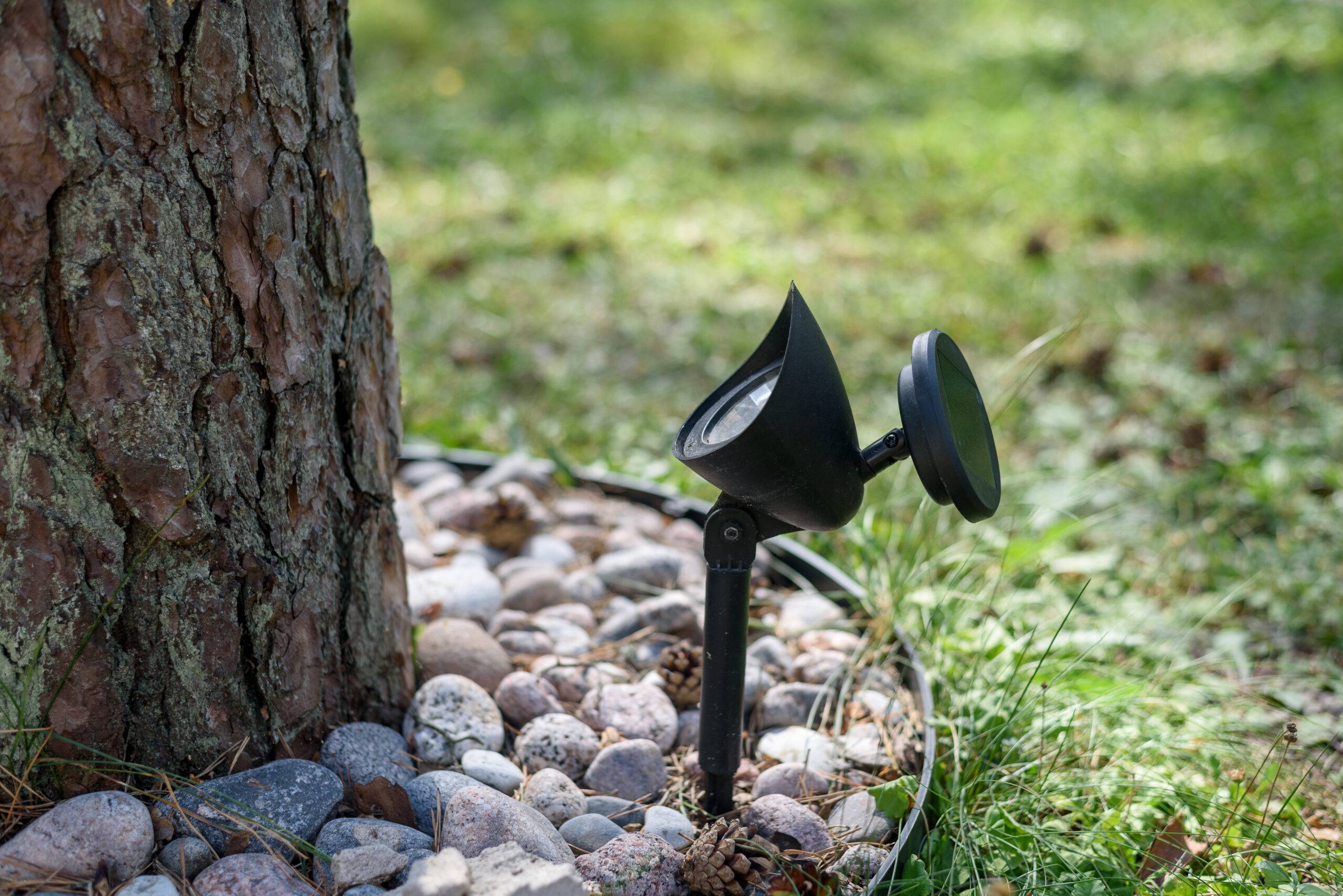 LED outdoor light with solar battery standing on ground near pine tree