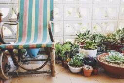 9 Curb Appeal Mistakes That Will Lower Your Home’s Value