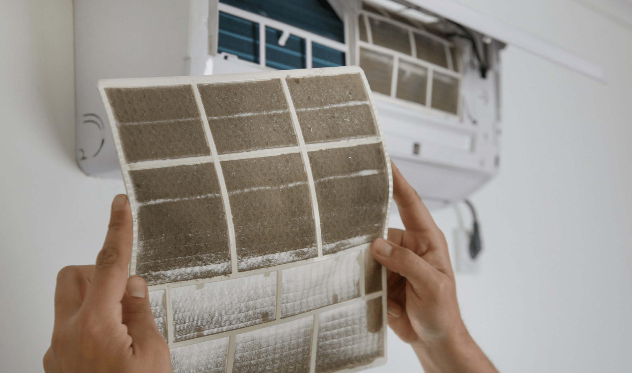A person holding a dirty AC filter.