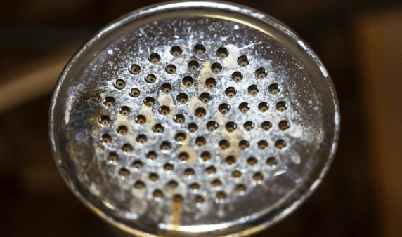 Hard water deposits on a showerhead.
