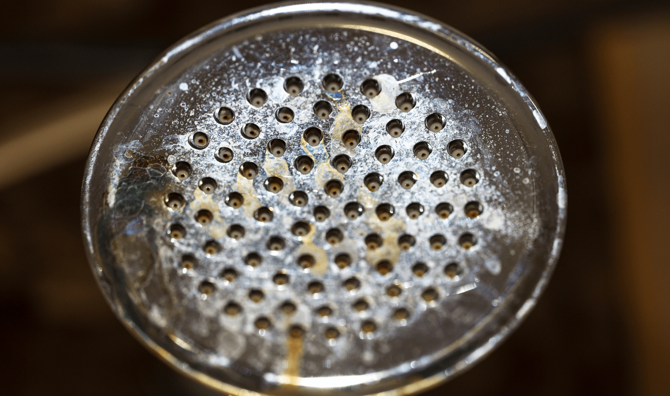 Hard water deposits on a showerhead.