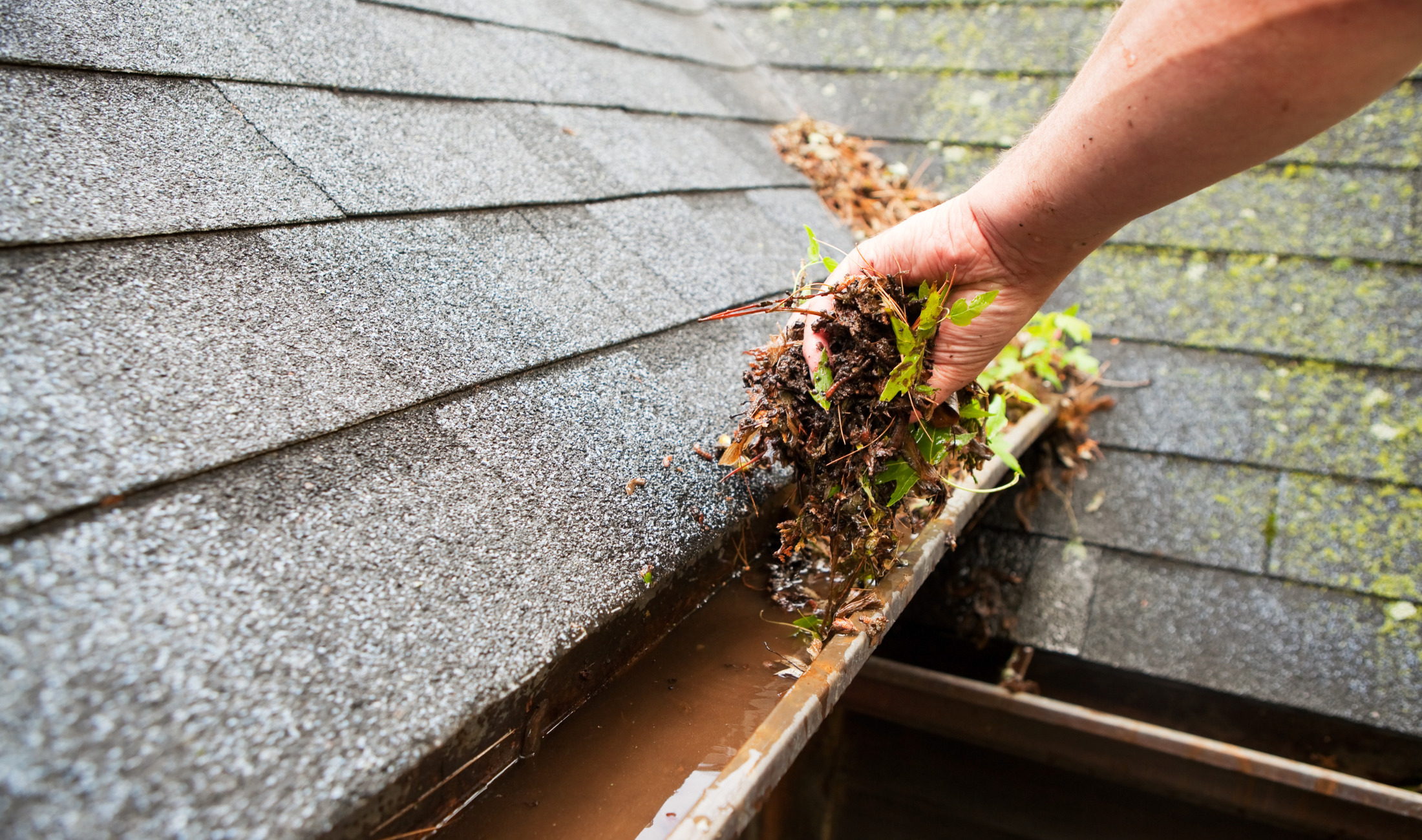 A hand clearing debris out of a gutter.