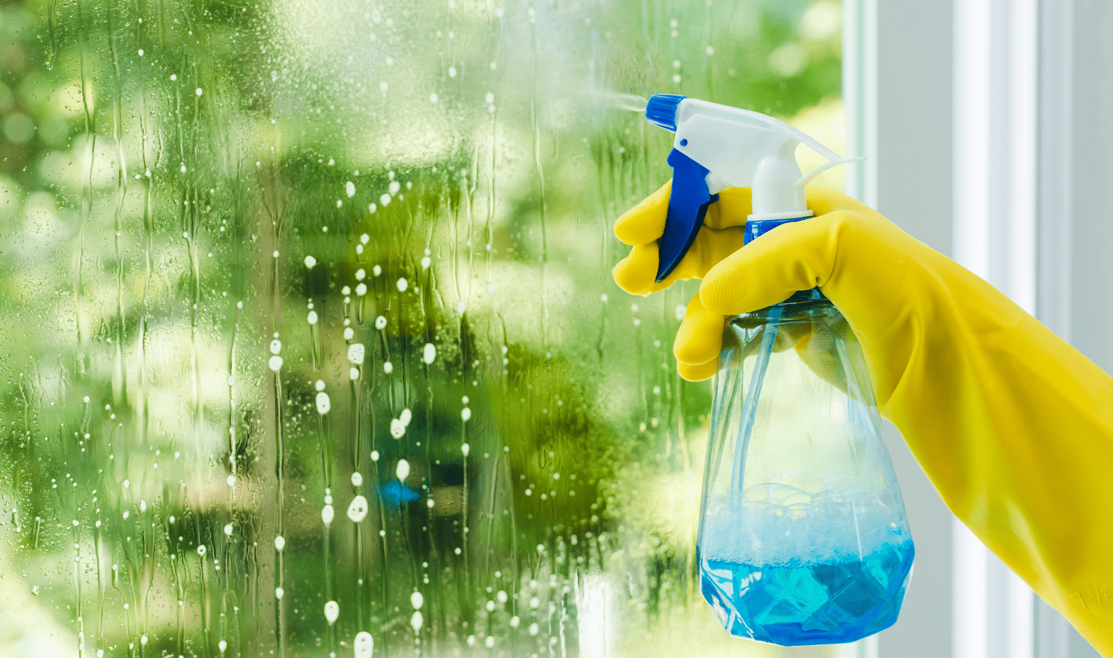 Someone spraying a solution from a bottle onto a window, wearing a yellow rubber glove.