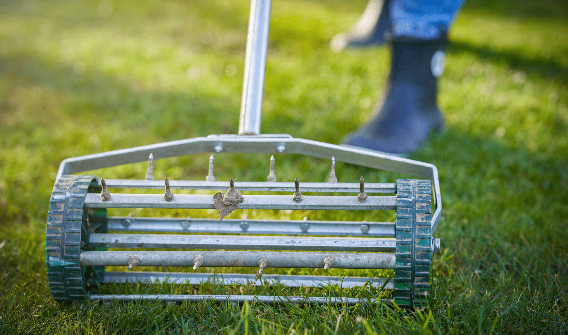A person using a manual lawn aerator.
