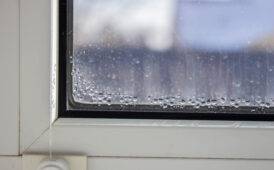 Why Your House Is So Humid, The Dangers, And How To Fix It