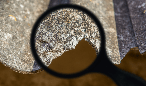 An edited photo of a magnifying glass stop a piece of asbestos.