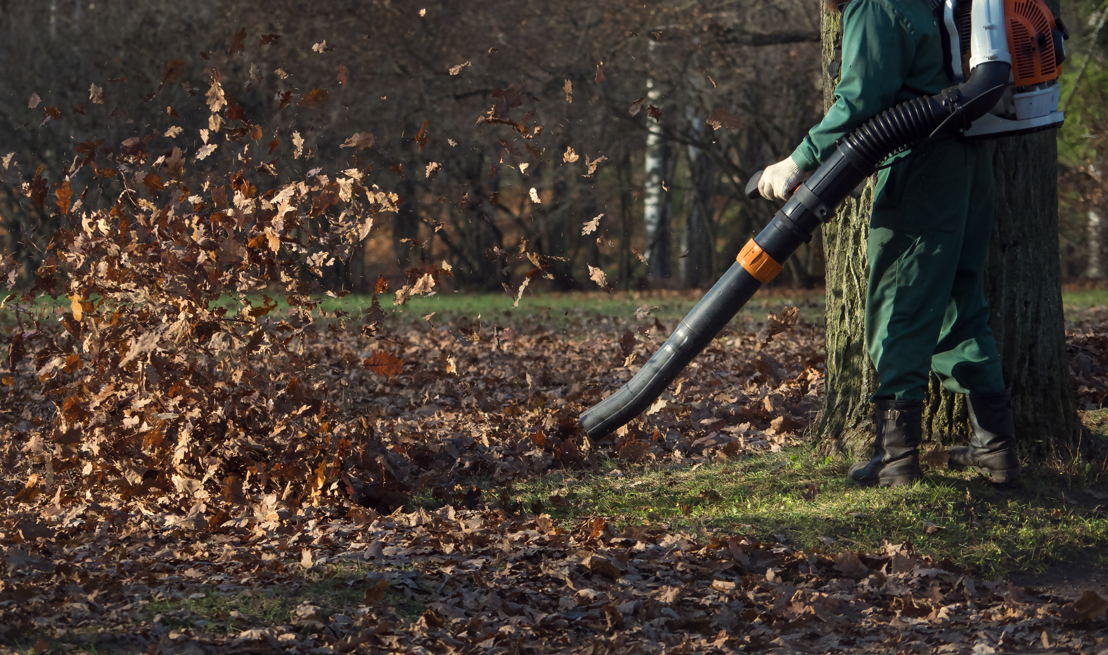 A person using a leaf blower.