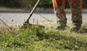 Why You Shouldn’t Mow Your Lawn In A Heatwave (And What To Do Instead)