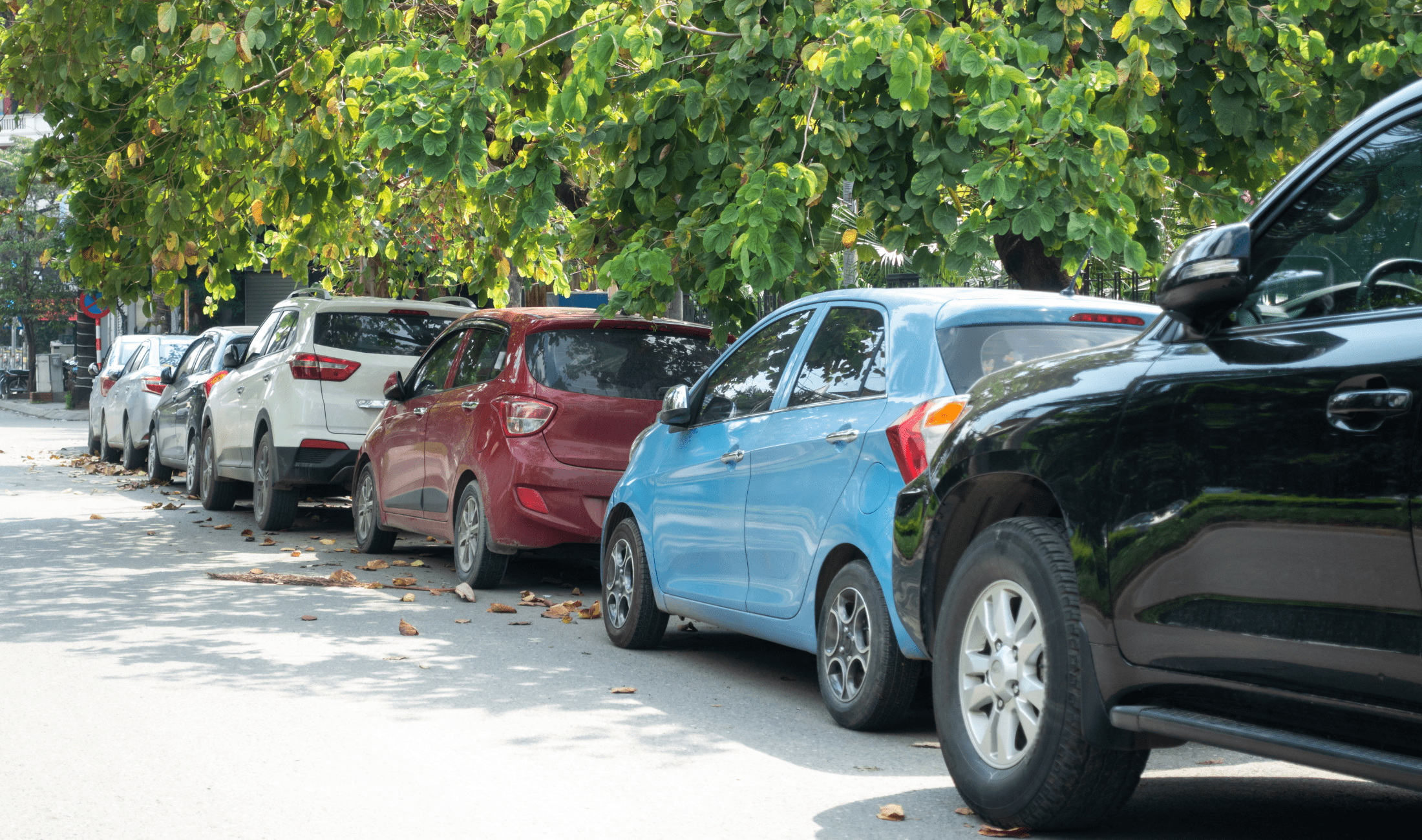 Full street parking.