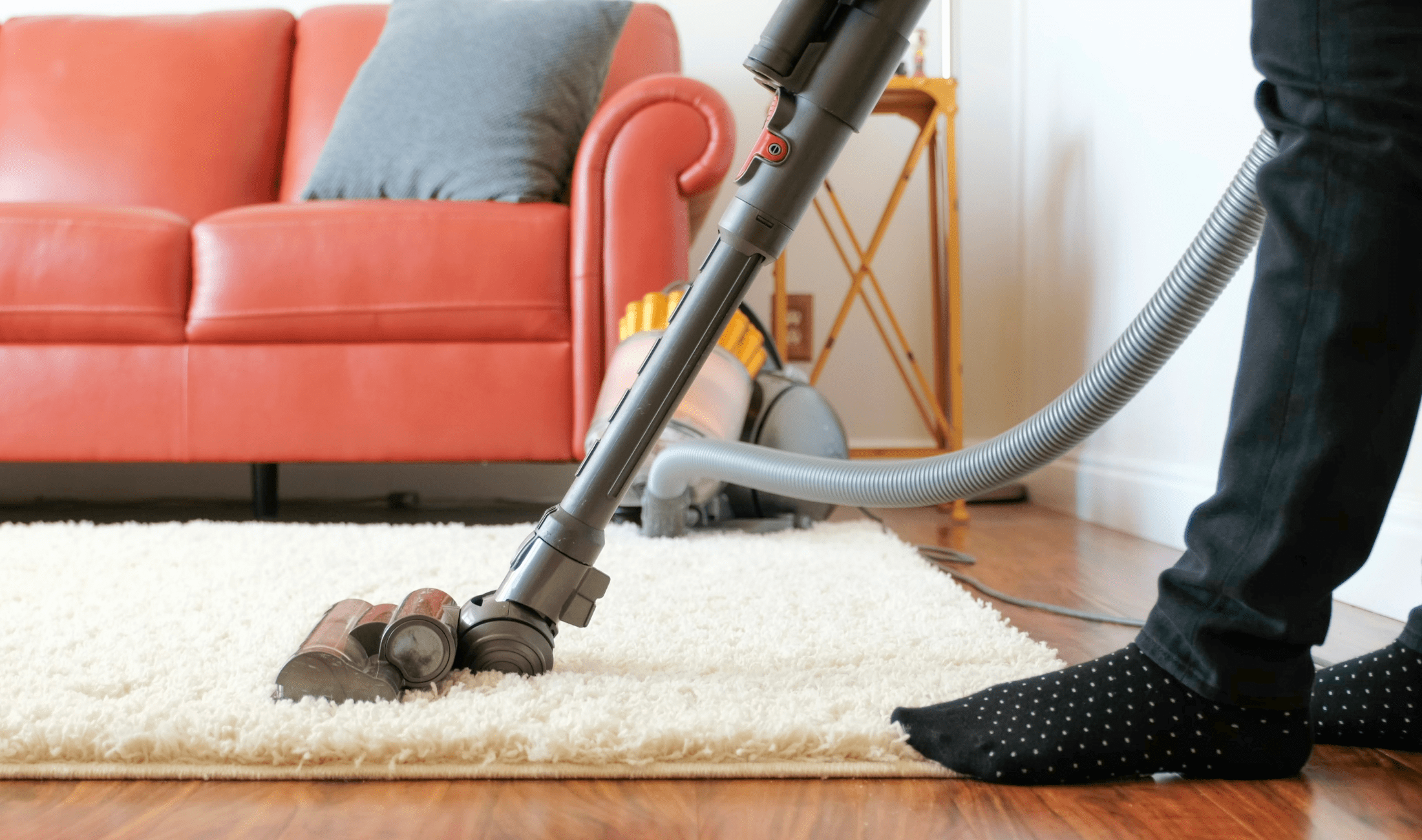 A person vacuuming a plush carpet.