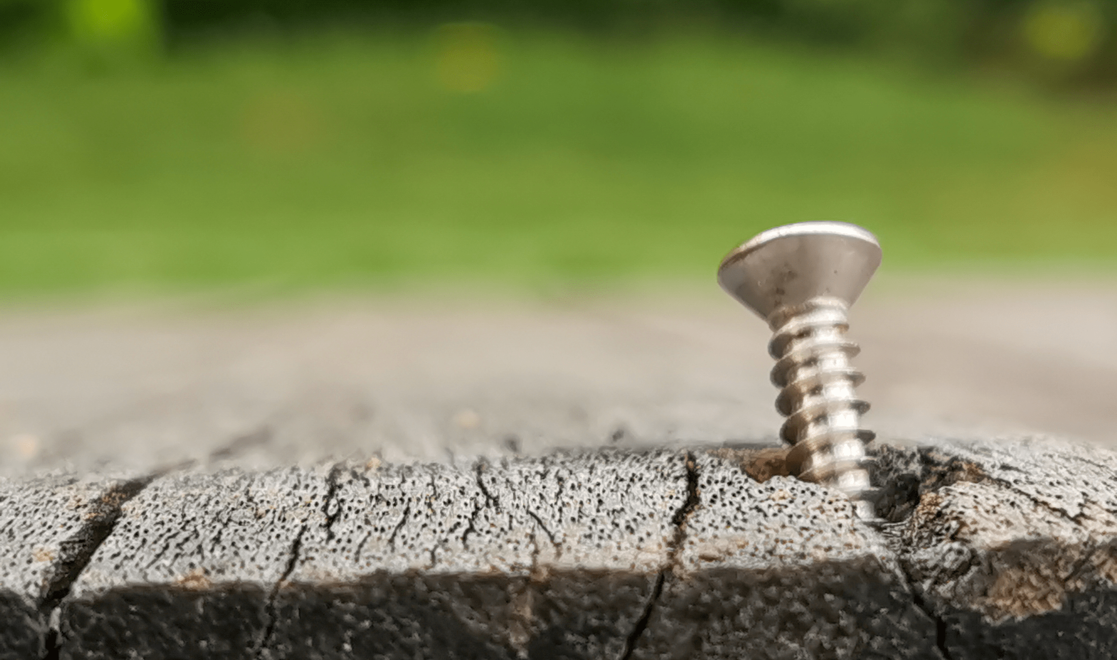 A screw jutting out of a wooden plank.
