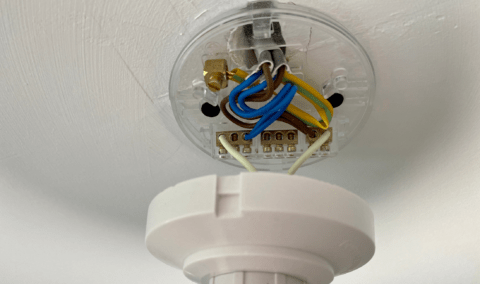 A closeup on the electrical box of a ceiling light.