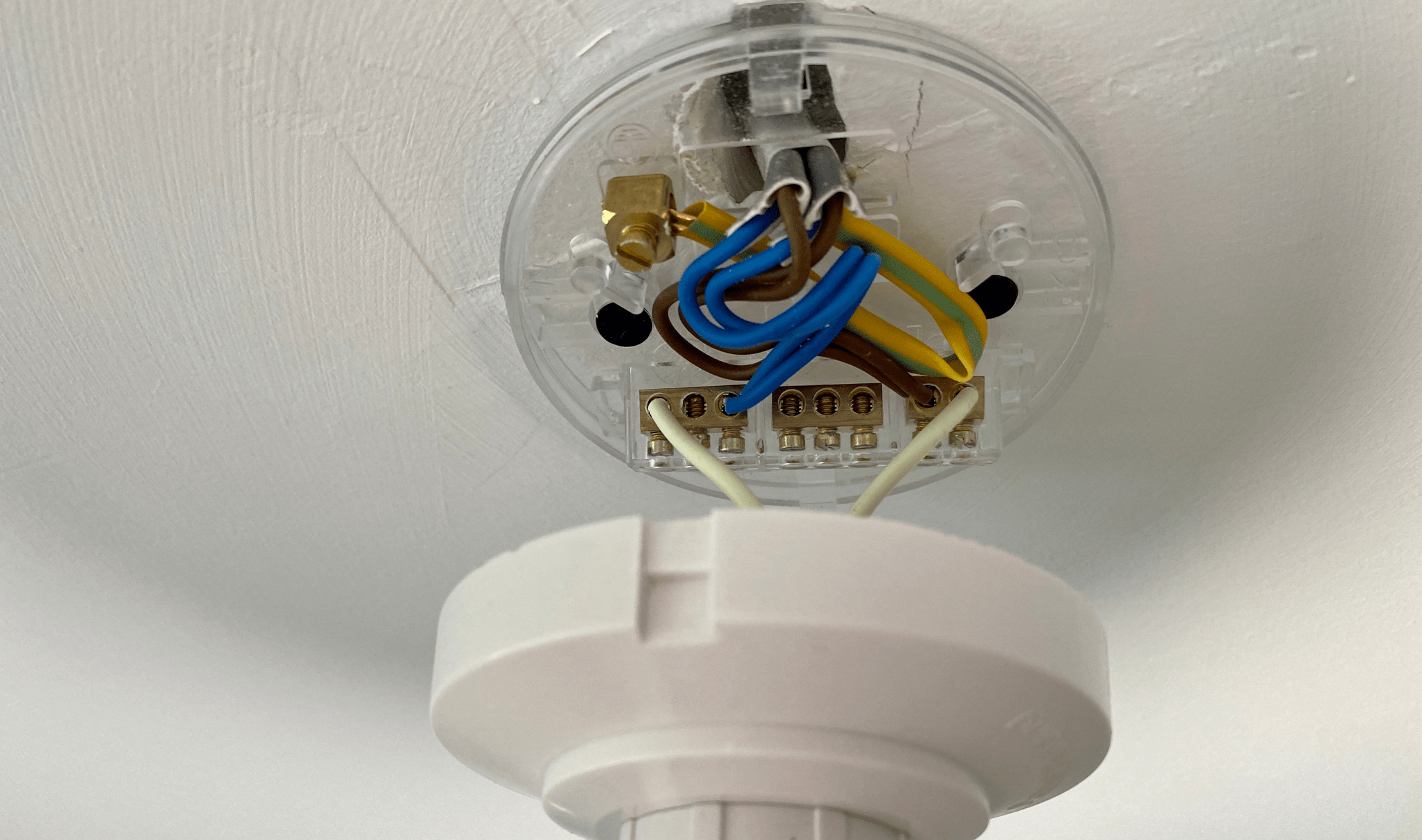 A closeup on the electrical box of a ceiling light.