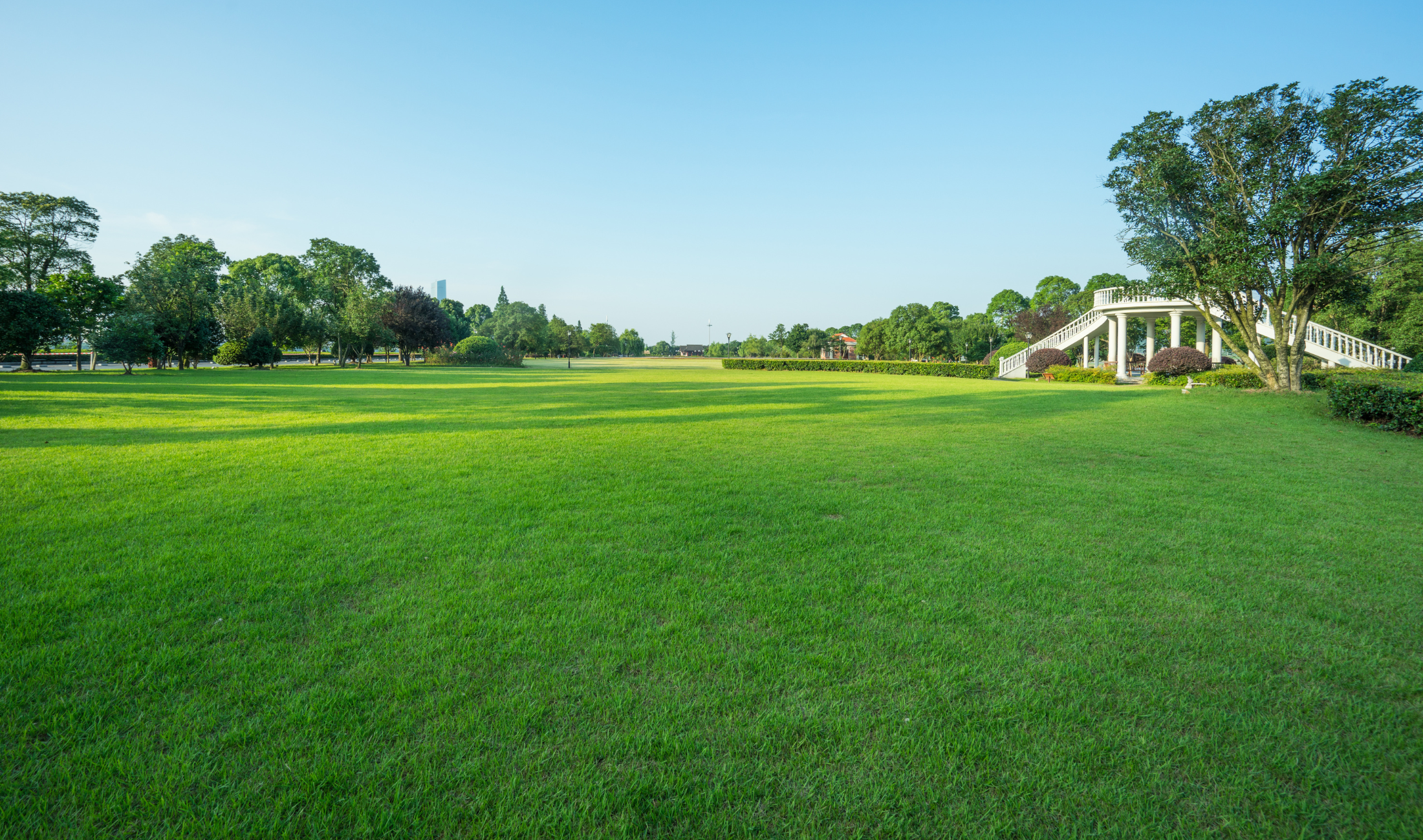 A large, clean, manicured lawn.