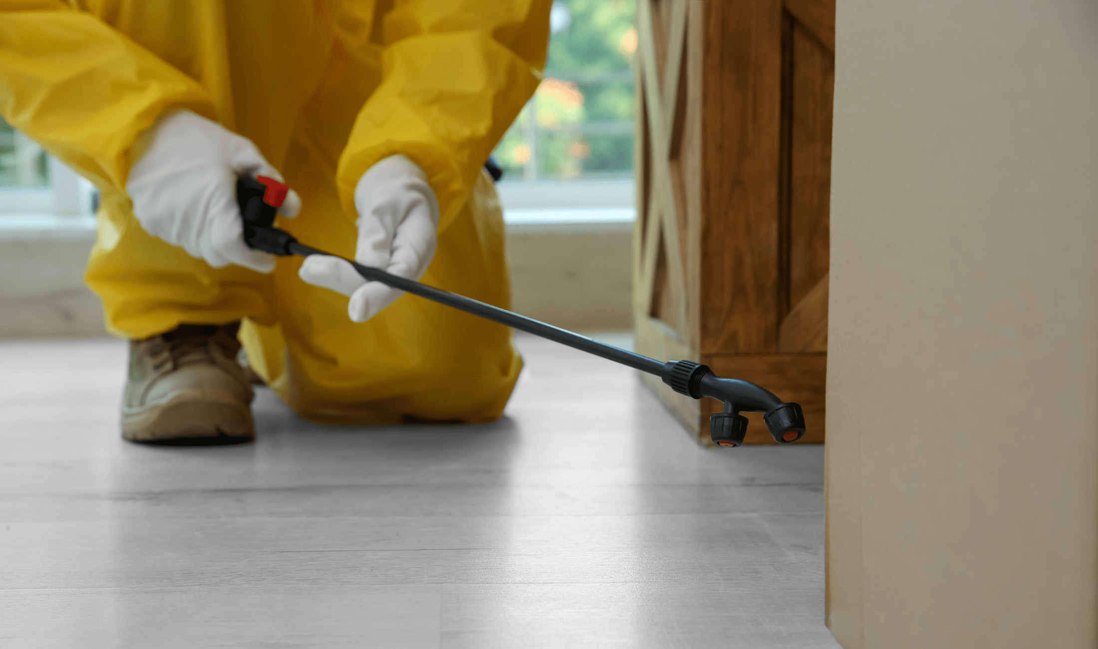 A pest control working spraying pesticide along a wall where it meets the floor.