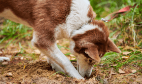 6 Things Your Neighbors Wish You’d Stop Doing