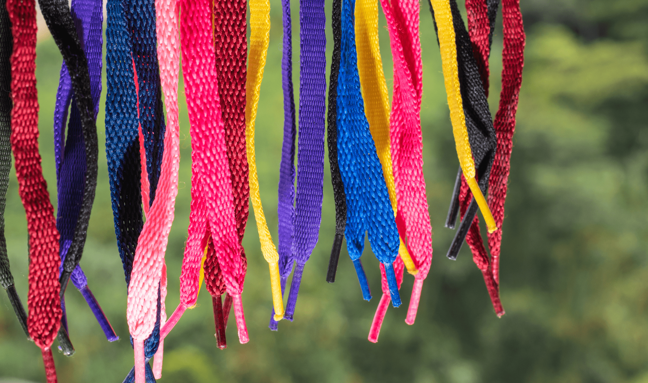 A row of dangling, colorful shoelaces.