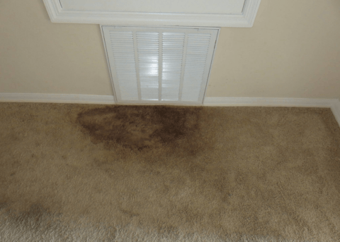 A moldy carpet beneath a vent grate.