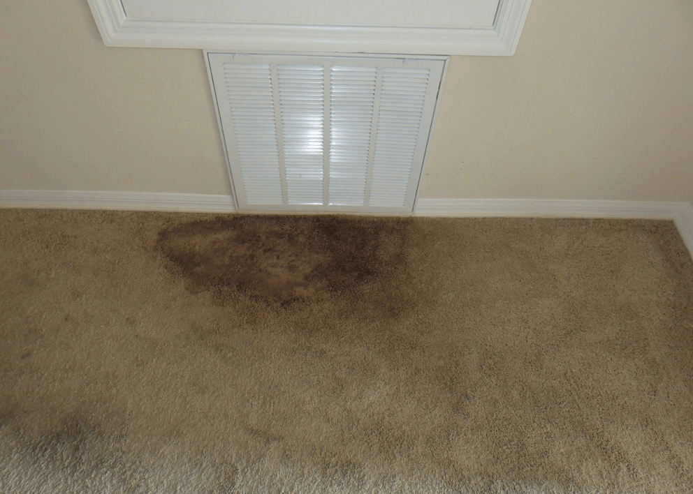 A moldy carpet beneath a vent grate.