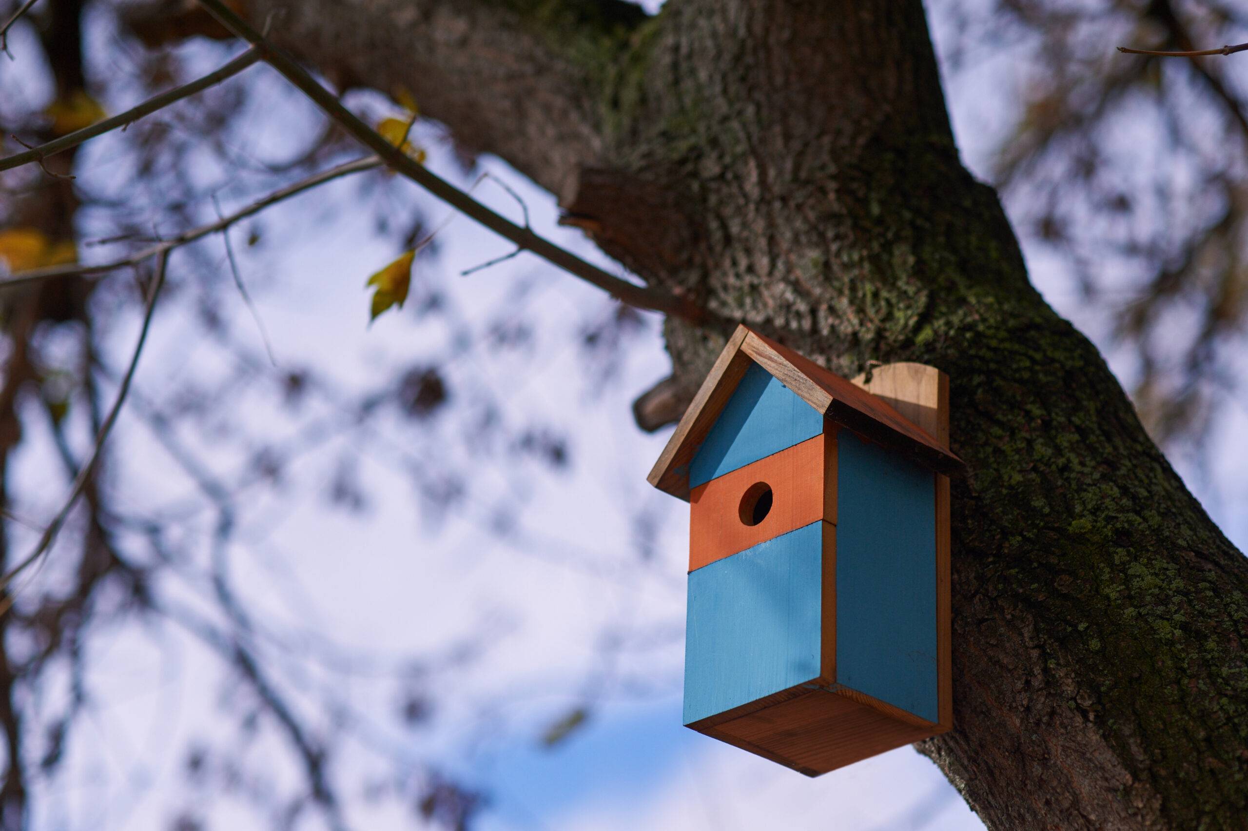 Beautiful multi colored birdhouse in the Park