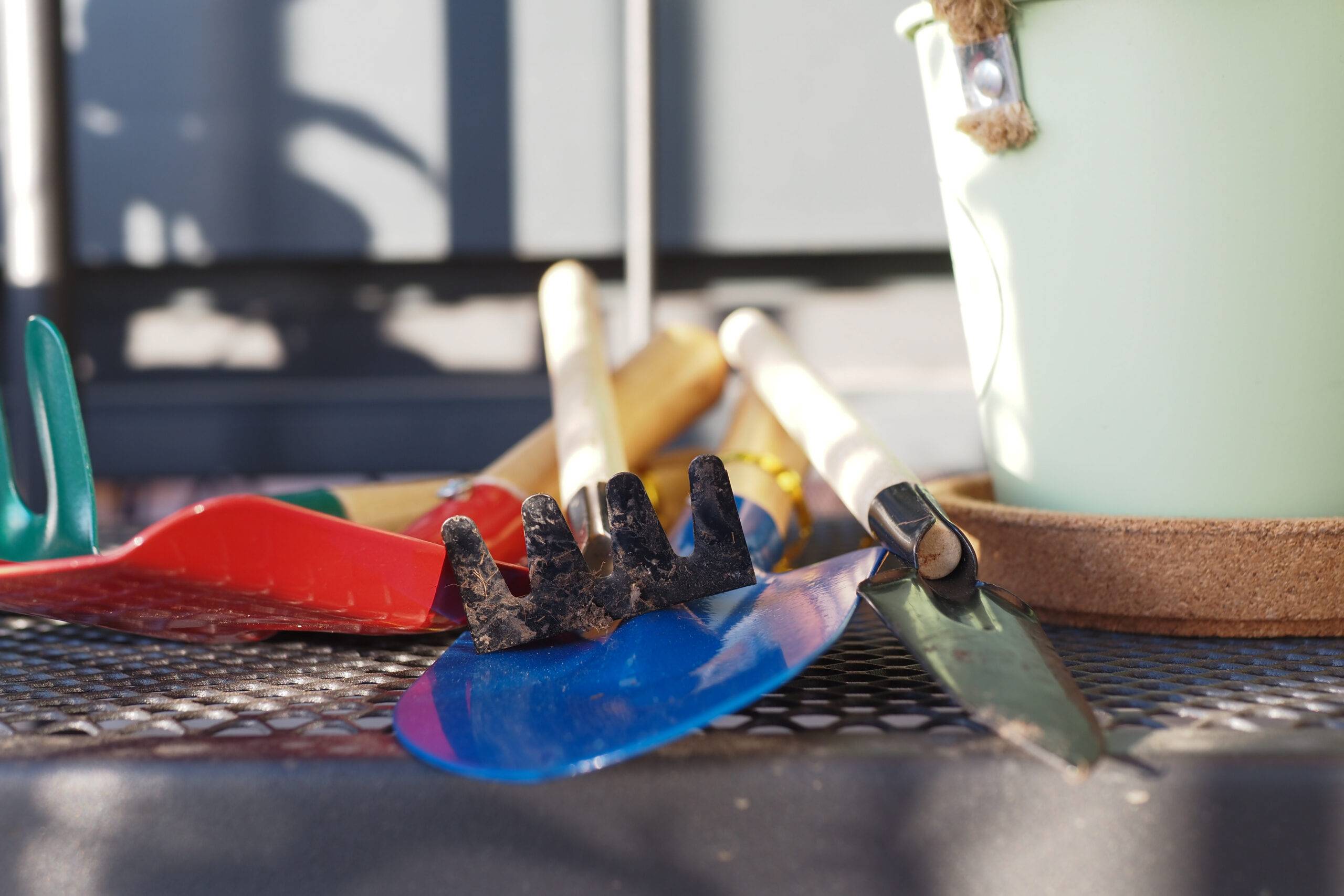 gardening tools and plant on a table with copy space .