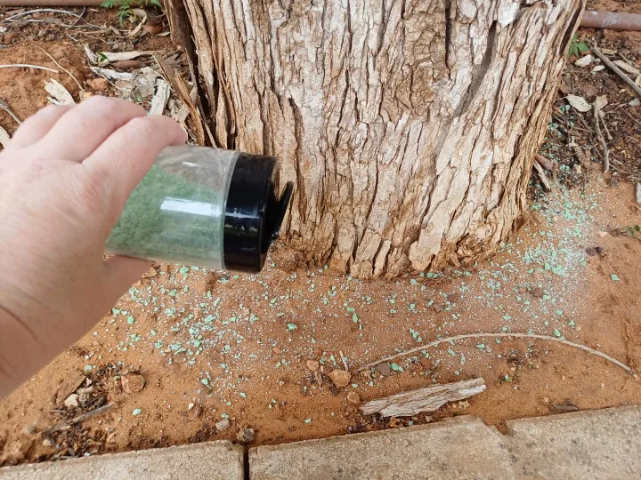 A hand holding a shaker that's sprinkling soap shavings around a tree.