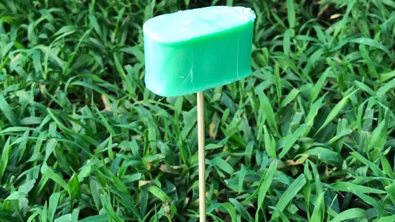 A chunk of a soap bar in a garden atop a wooden stake.