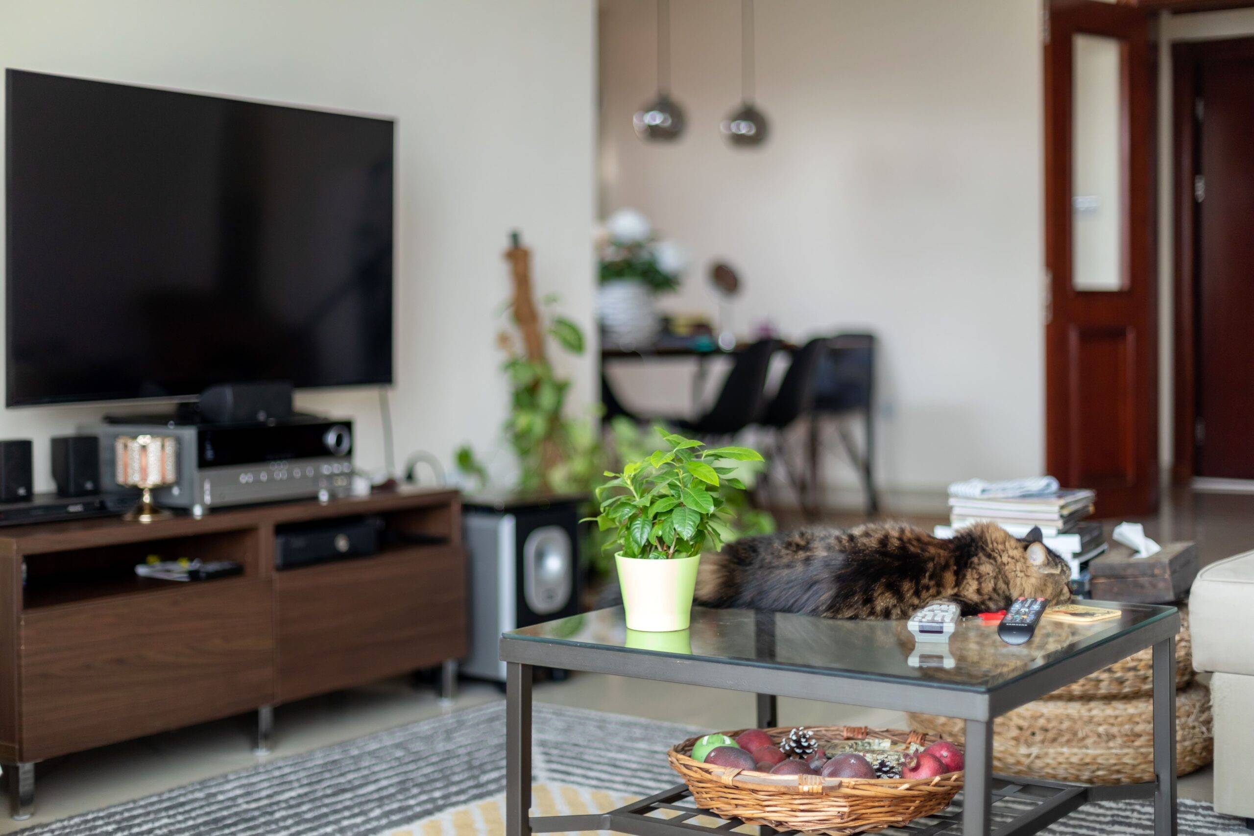 A modern living room, namely the coffee table and media centre with TV.